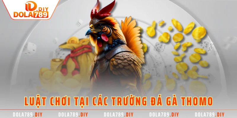 Luật chơi tại các trường đá gà thomo